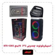 اسپیکربلوتوث چمدونی 2*3 6 اینچ KTS-1265